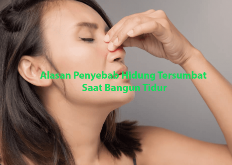 Alasan Penyebab Hidung Tersumbat
